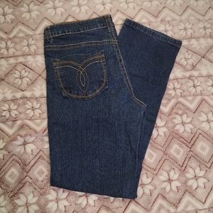*SOLD* Paris Blues Denim Jean's, Junior's size 13